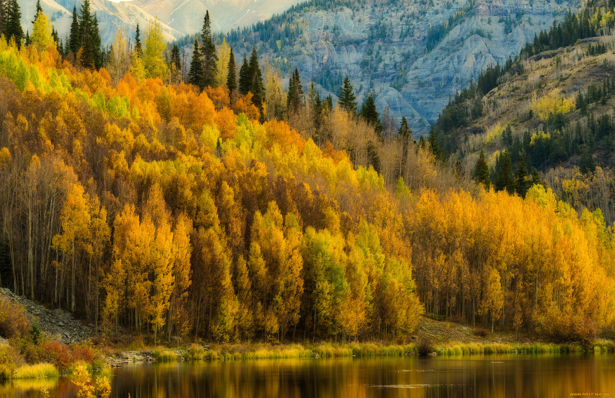 природа, реки, озера, простор