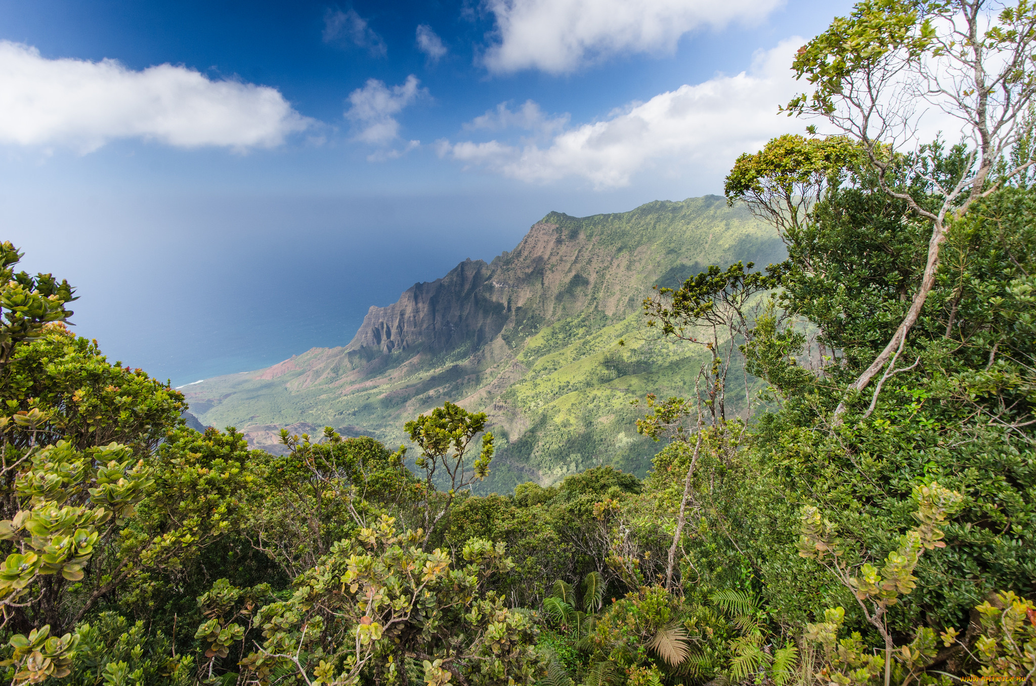 природа, побережье, простор