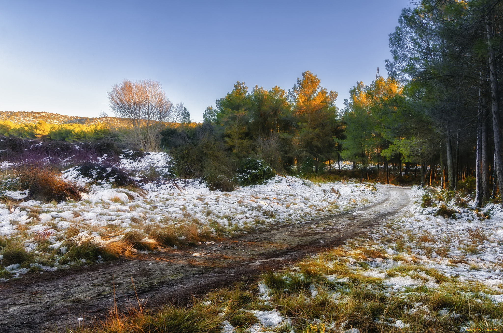 природа, дороги, простор