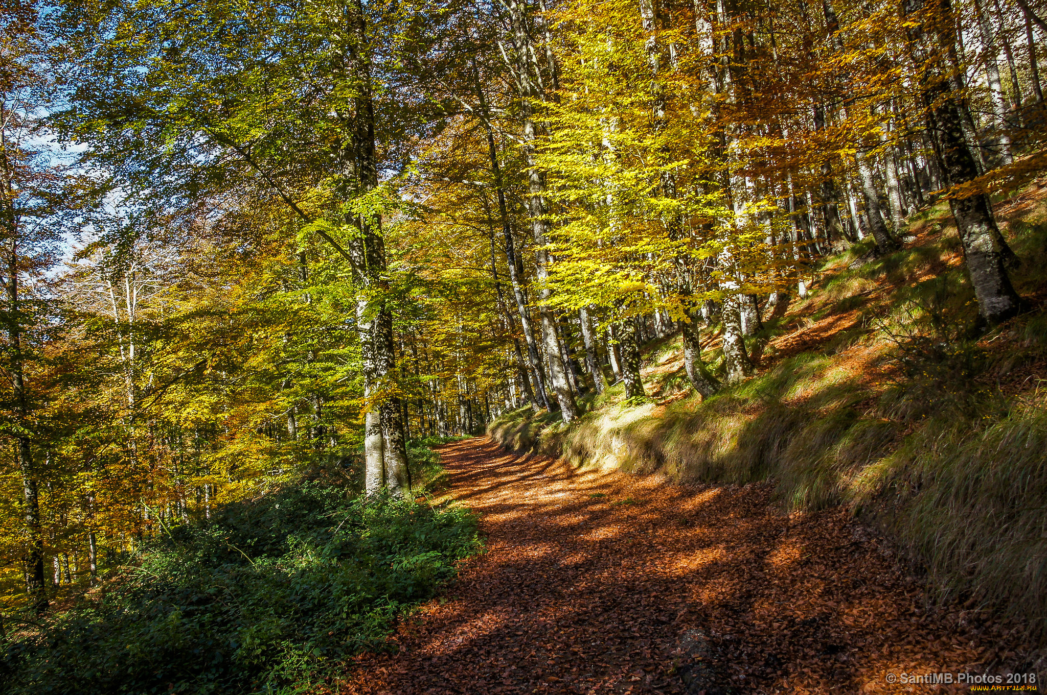 природа, дороги, простор