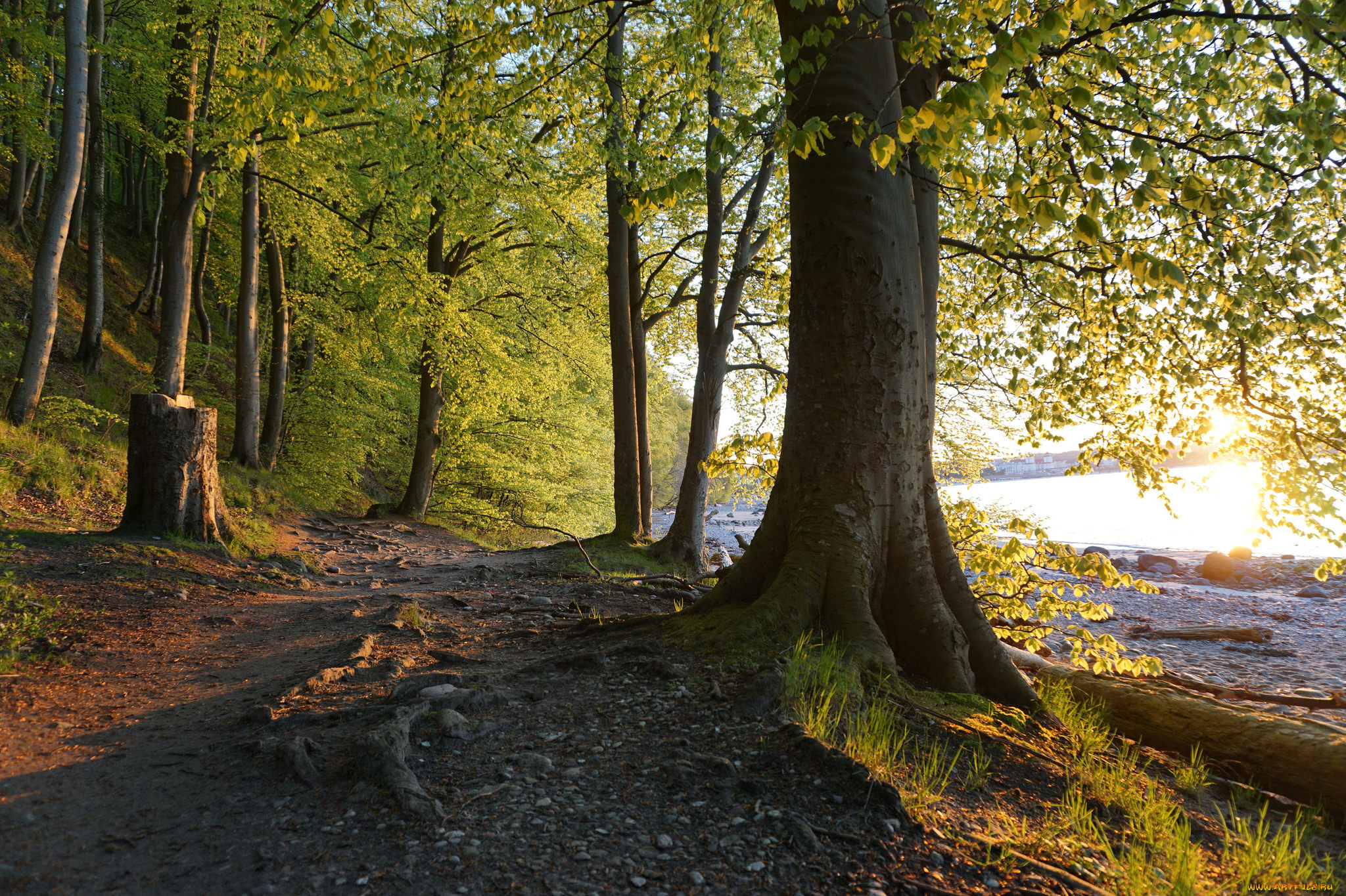 природа, дороги, простор