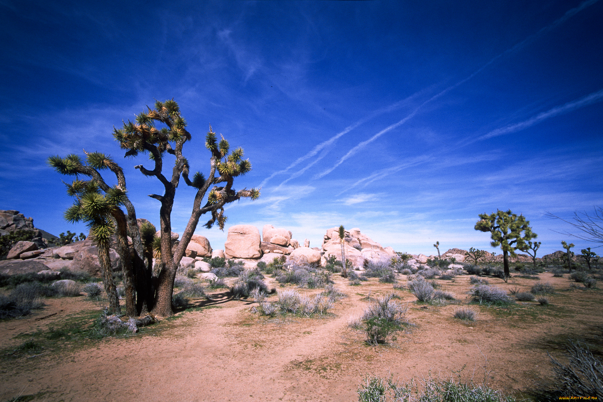 природа, пустыни, простор