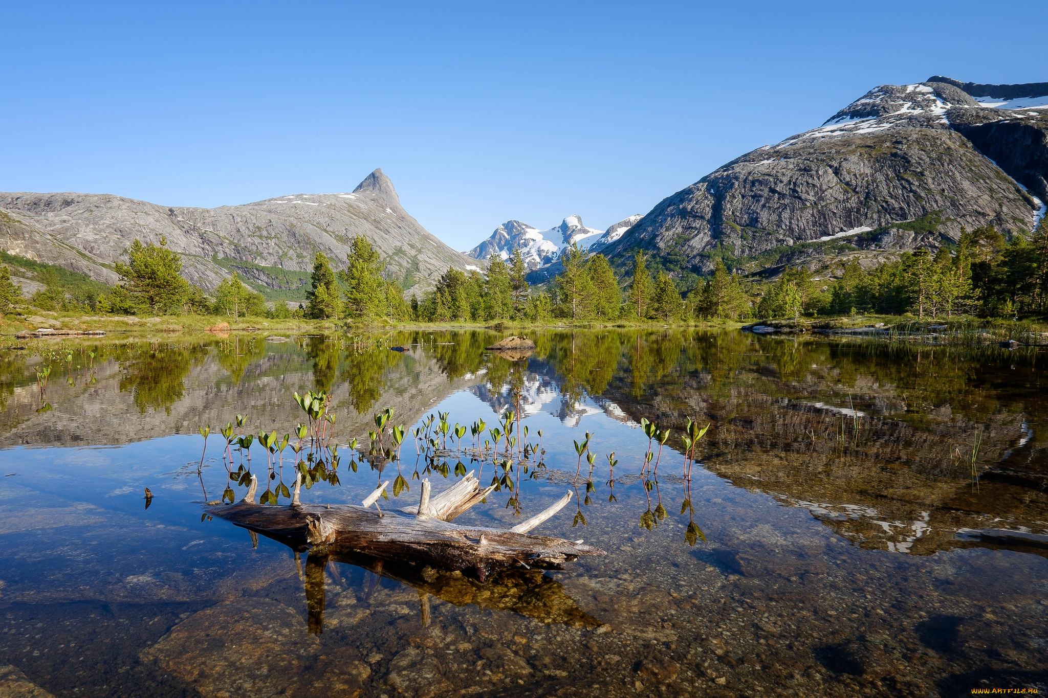 природа, реки, озера, простор