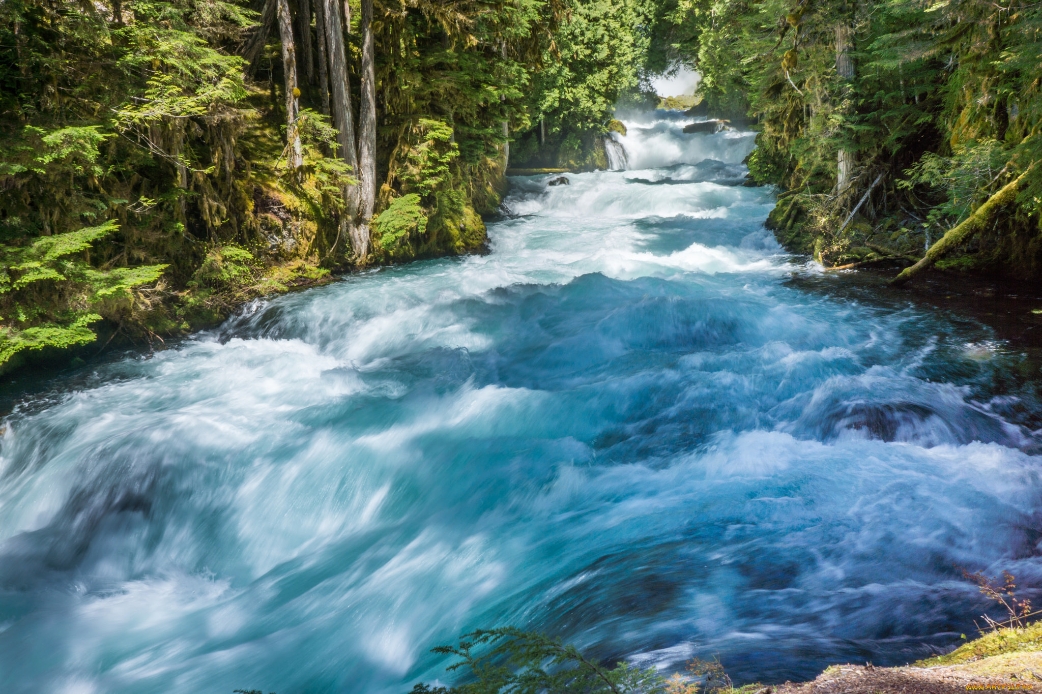 природа, реки, озера, простор