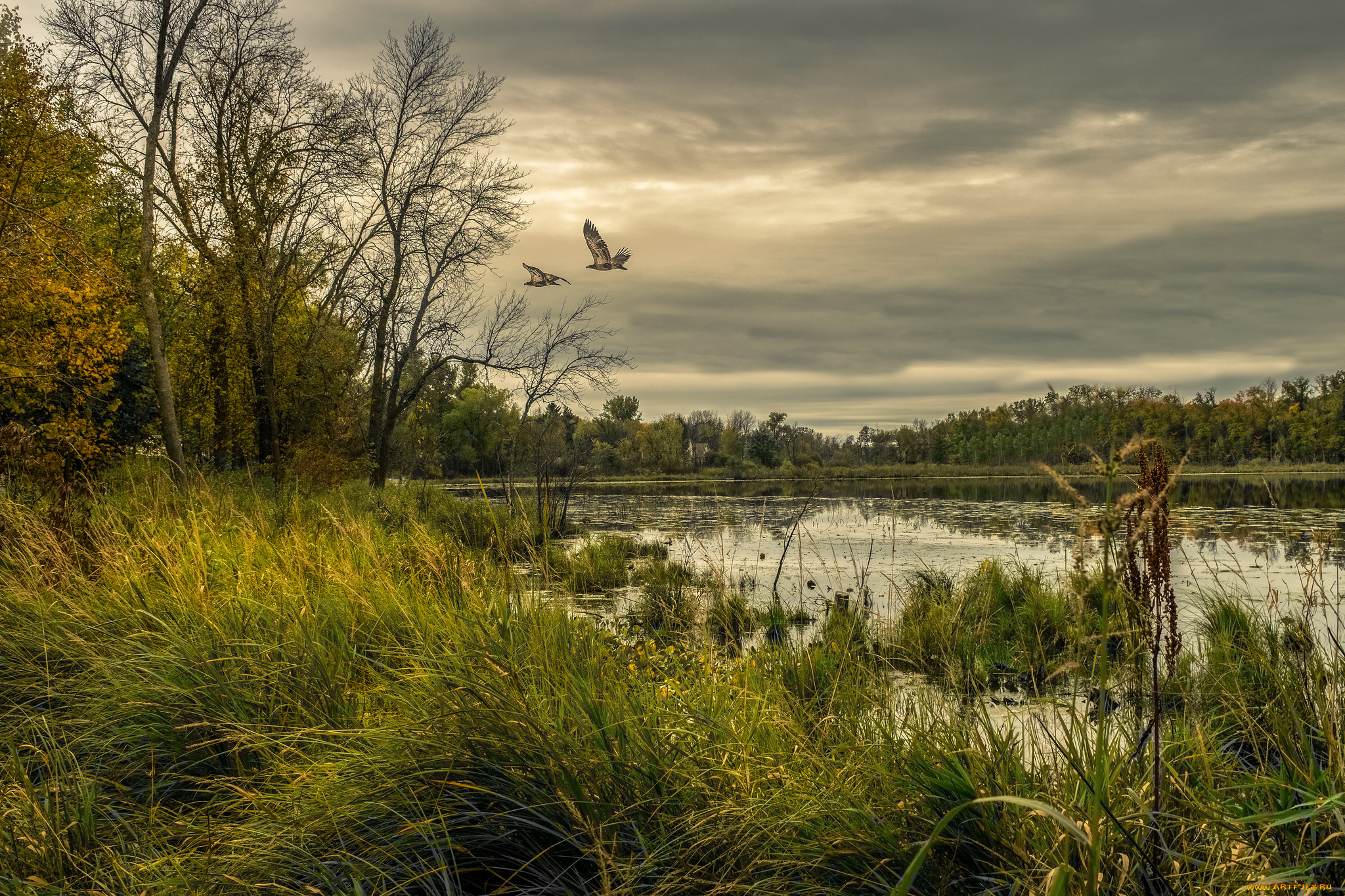 природа, реки, озера, простор