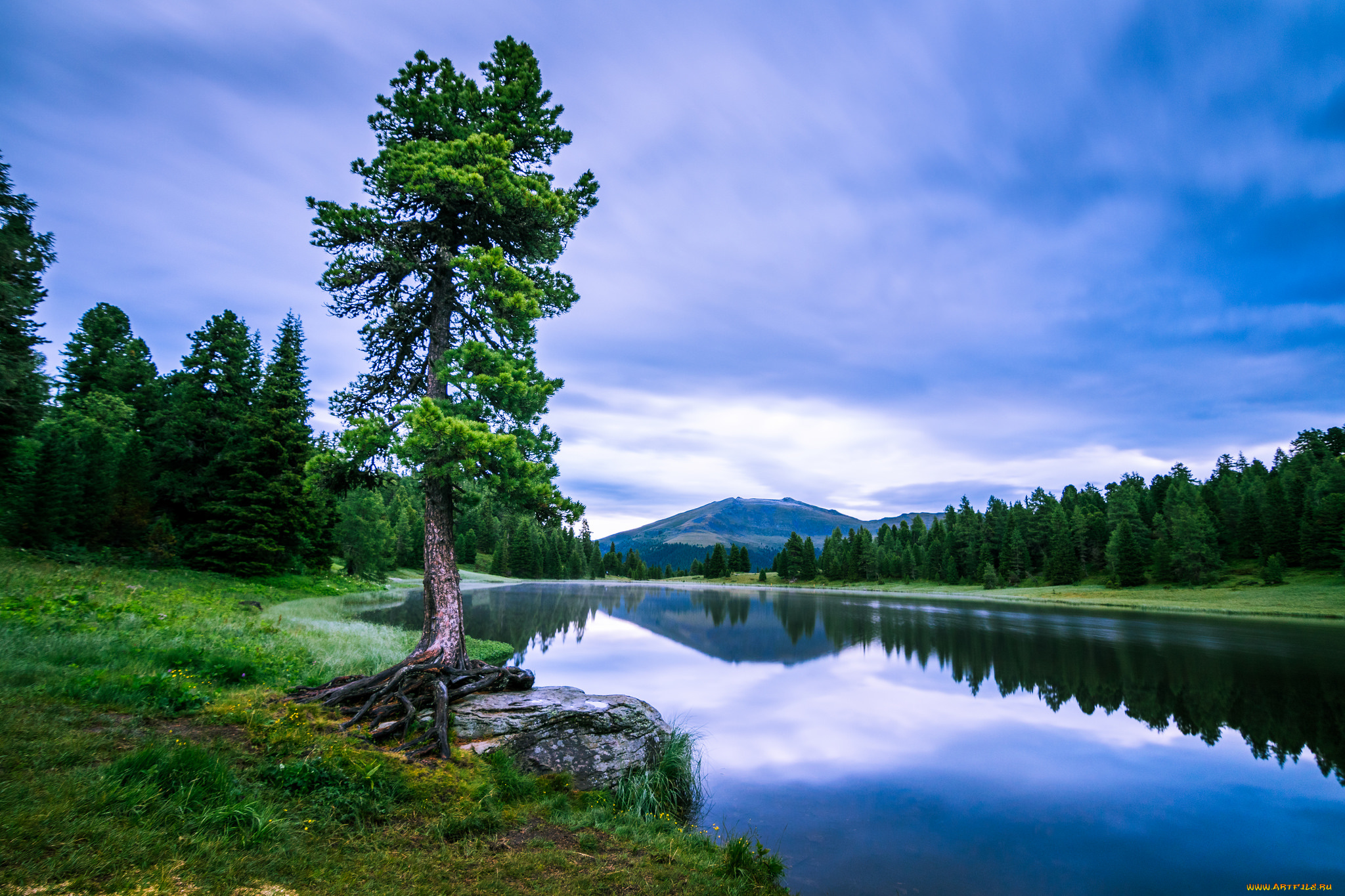 природа, реки, озера, простор