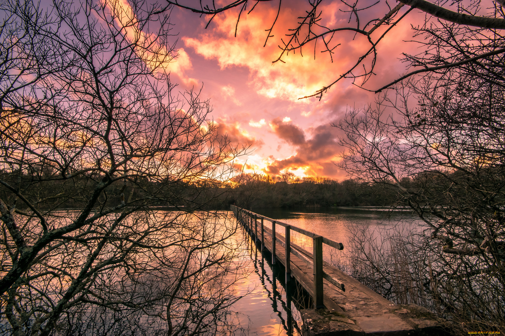 природа, реки, озера, простор