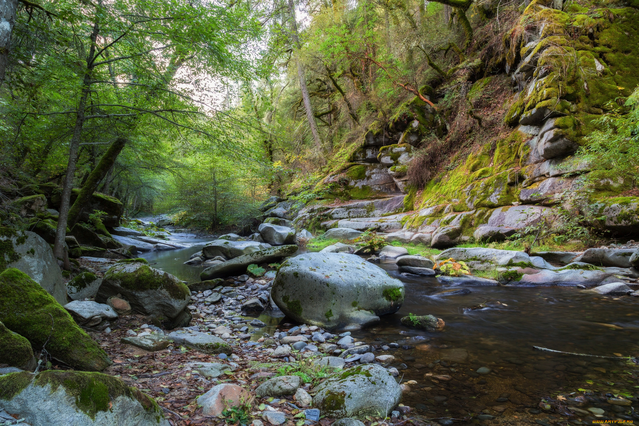 природа, реки, озера, простор