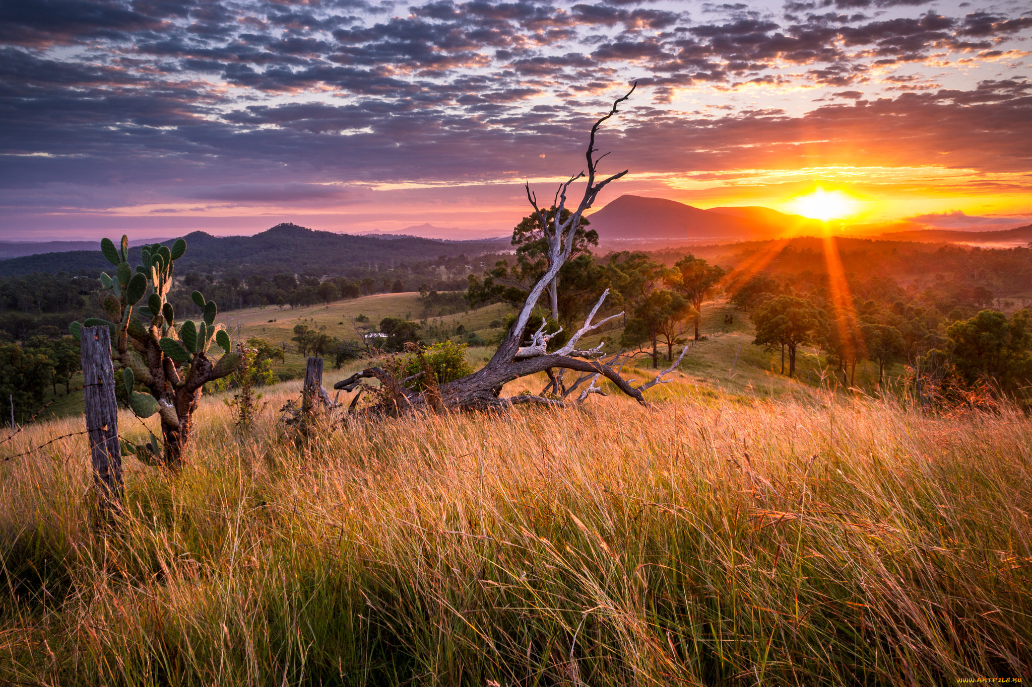 природа, восходы, закаты, простор