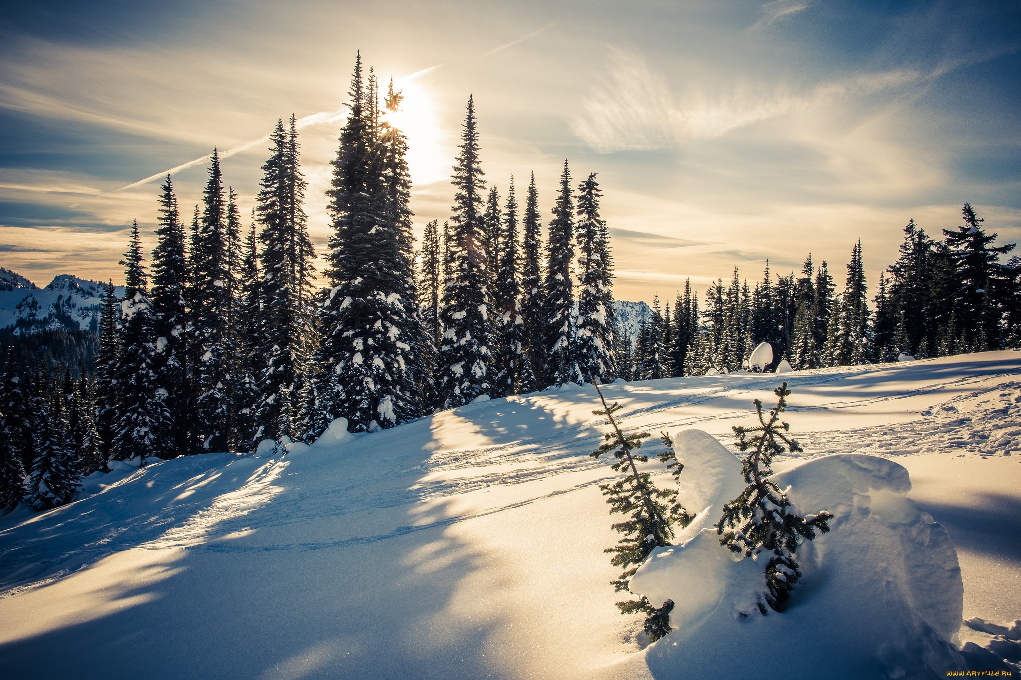 природа, зима, простор