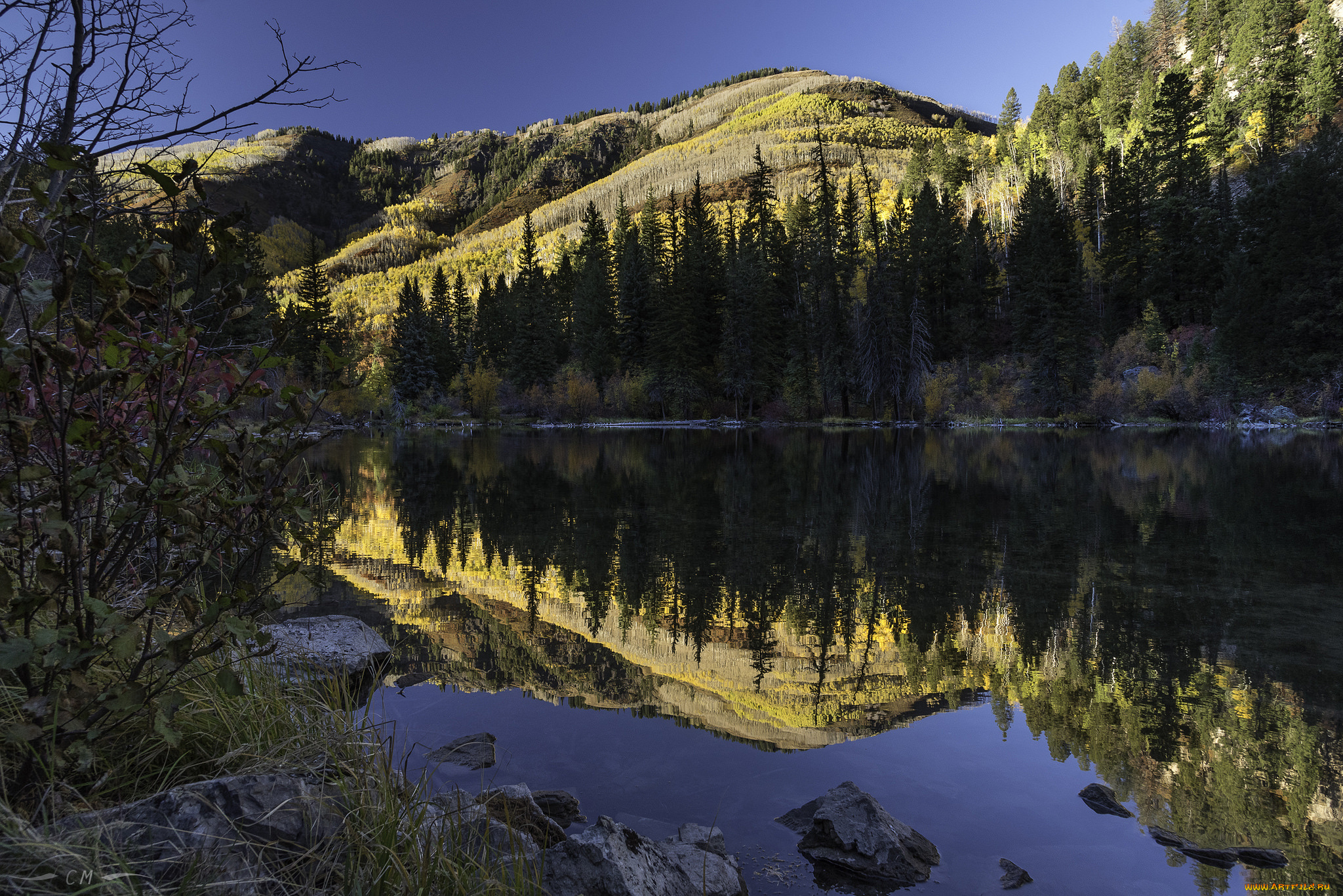 природа, реки, озера, простор