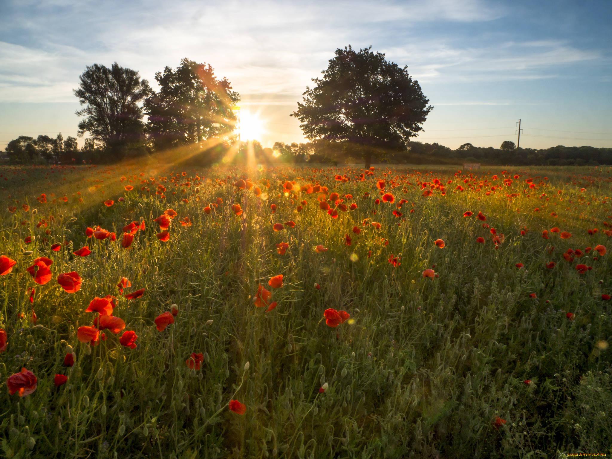 природа, восходы, закаты, простор