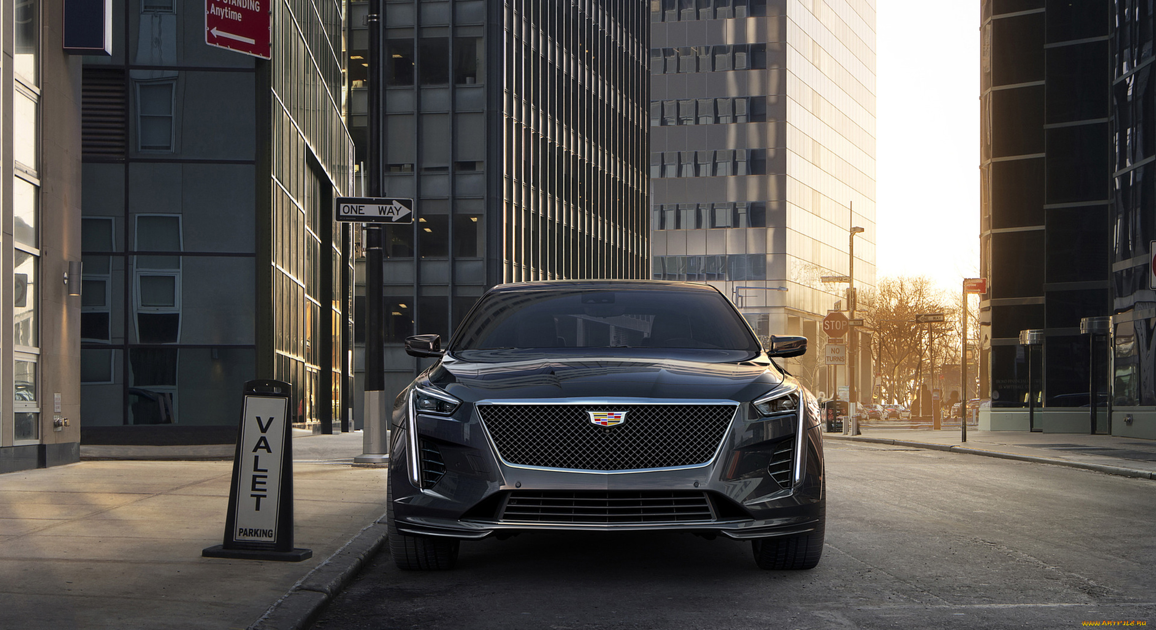 cadillac, ct6-v, sport, 2019, автомобили, cadillac, sport, ct6-v, 2019