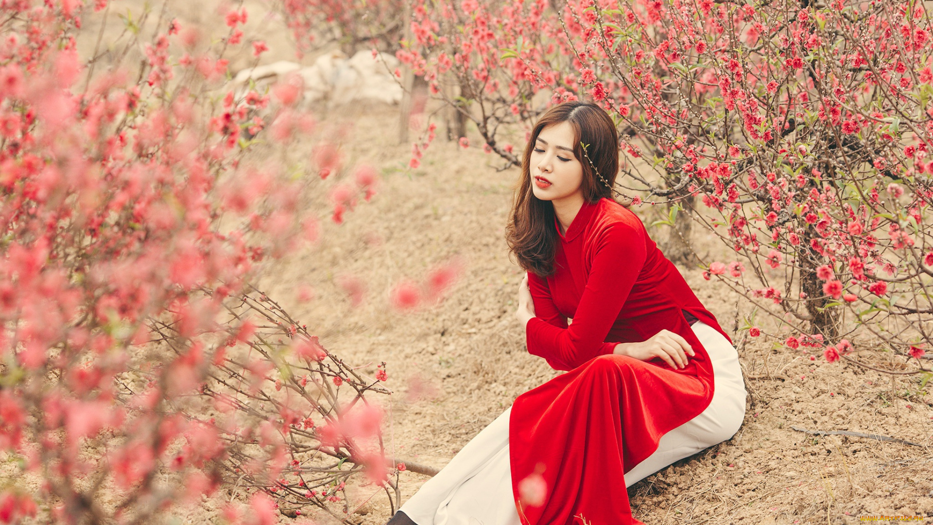 девушки, -unsort, , азиатки, азиатка