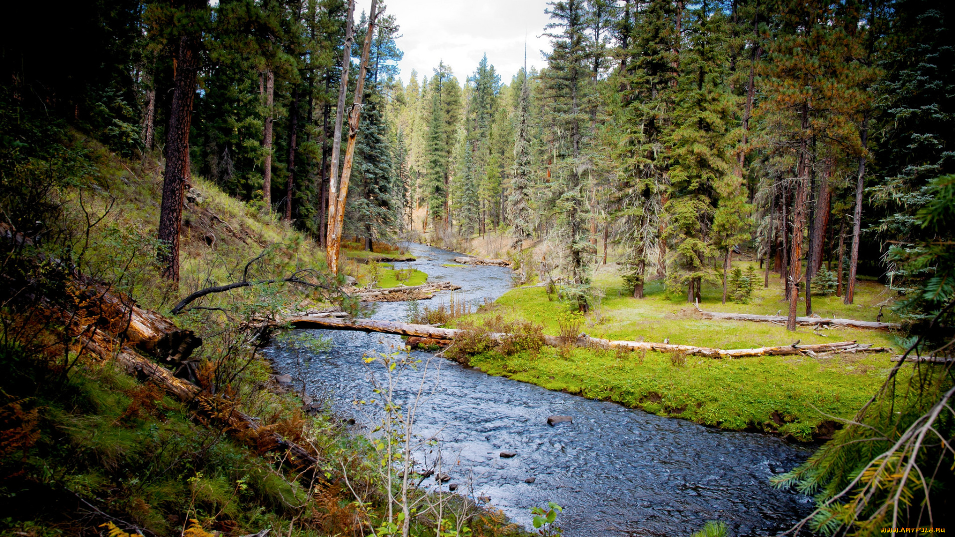 природа, реки, озера, простор