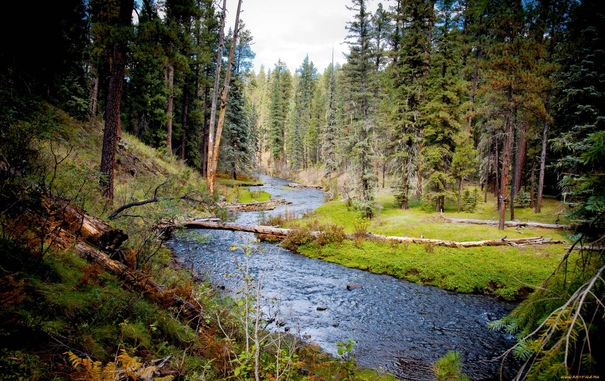 природа, реки, озера, простор