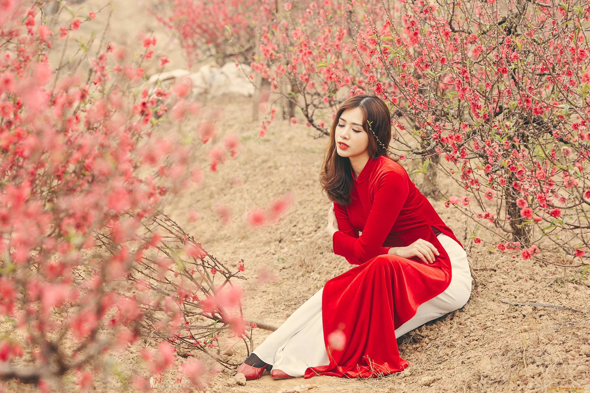 девушки, -unsort, , азиатки, азиатка