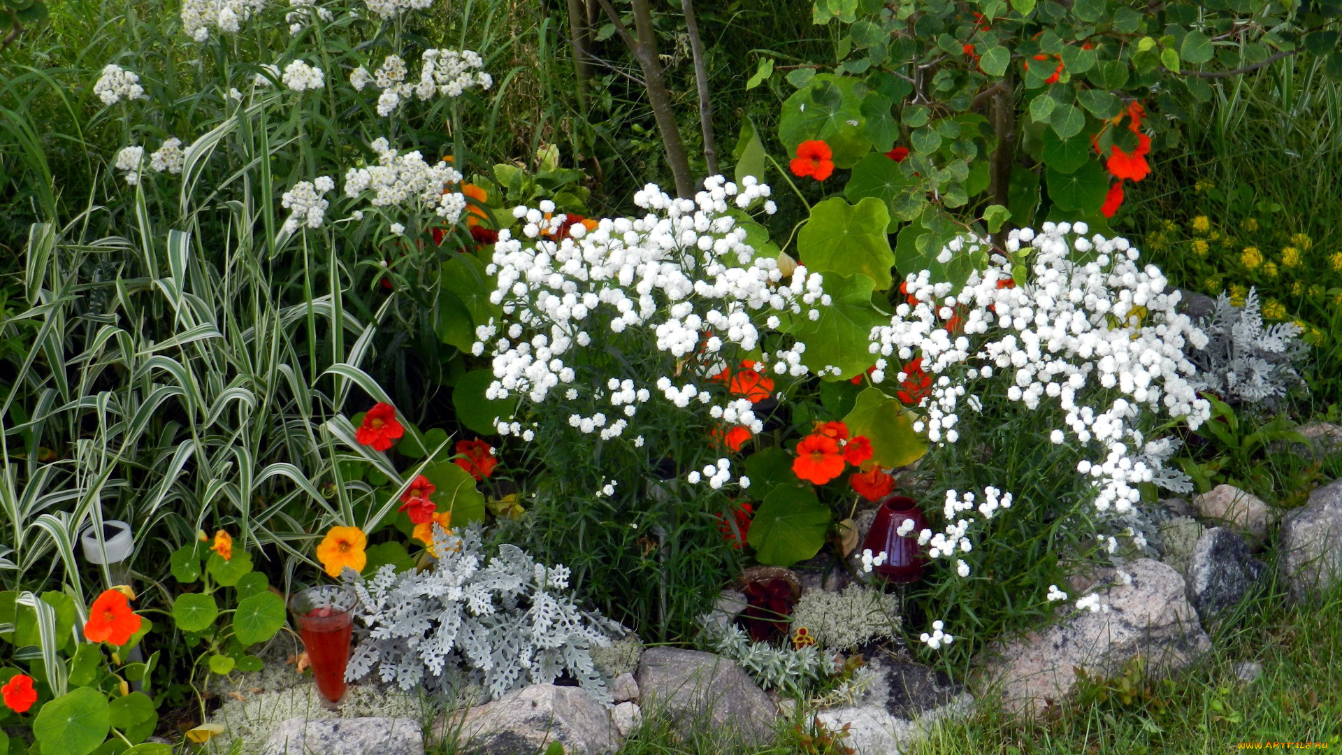 цветы, разные, вместе, клумба