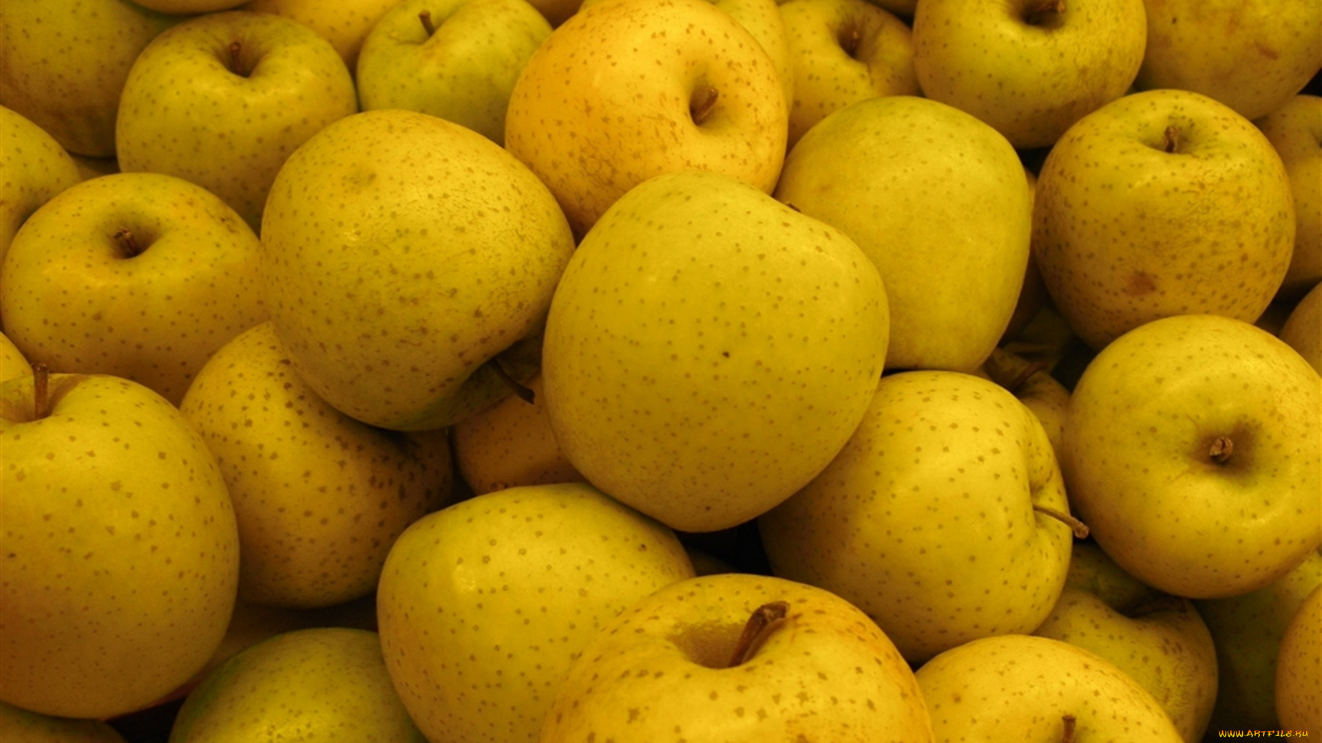 еда, цитрусы, апельсин