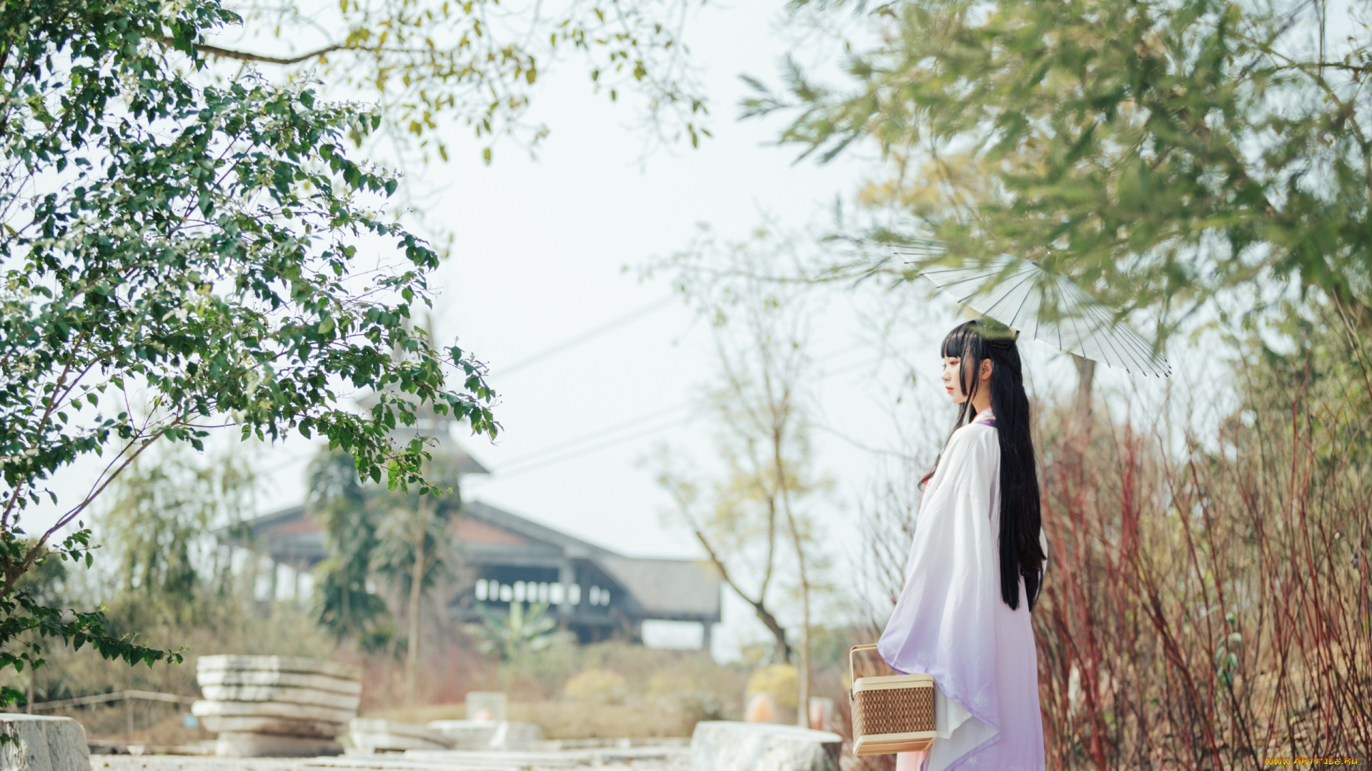 девушки, -, азиатки, корзинка, костюм, дом, деревья