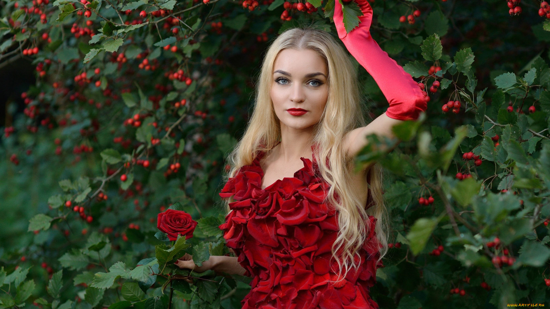 девушки, -, блондинки, , светловолосые, девушка, красивая, супер, секси, няша, нежная, классная, модница, лапочка, мадам