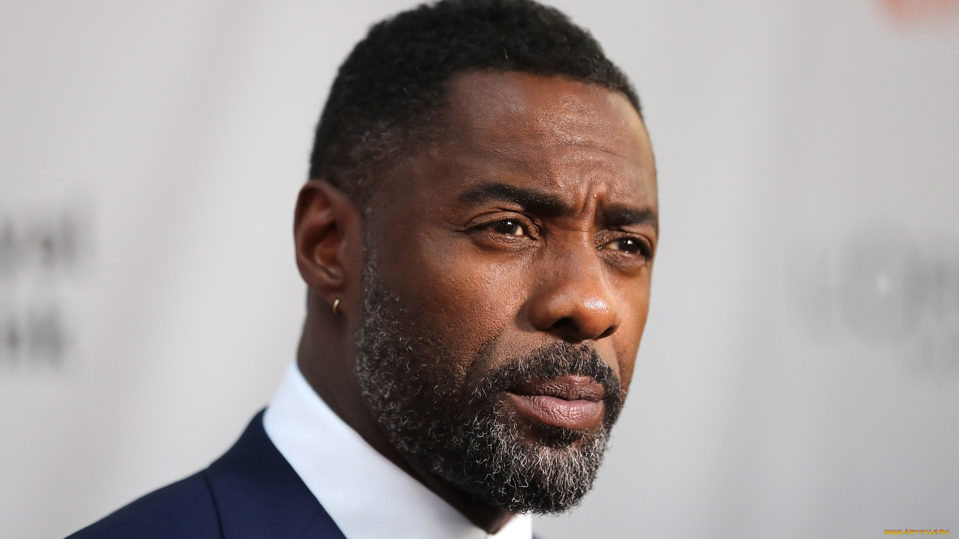 мужчины, idris, elba, актер, лицо, костюм