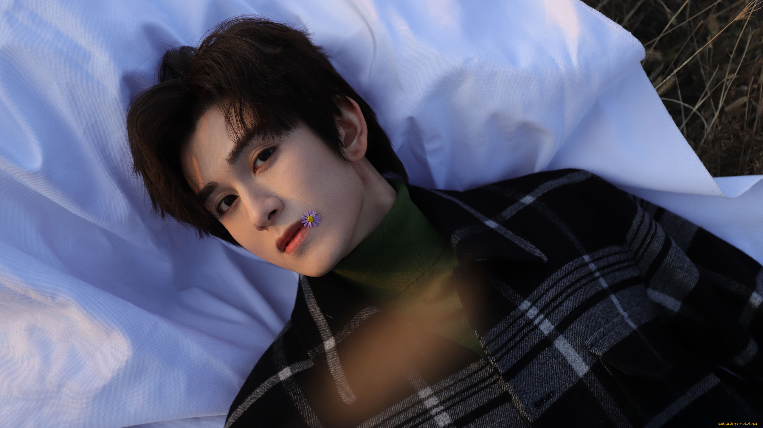 мужчины, zhu, zanjin, zhu, zanjin, чжу, цзаньцзинь