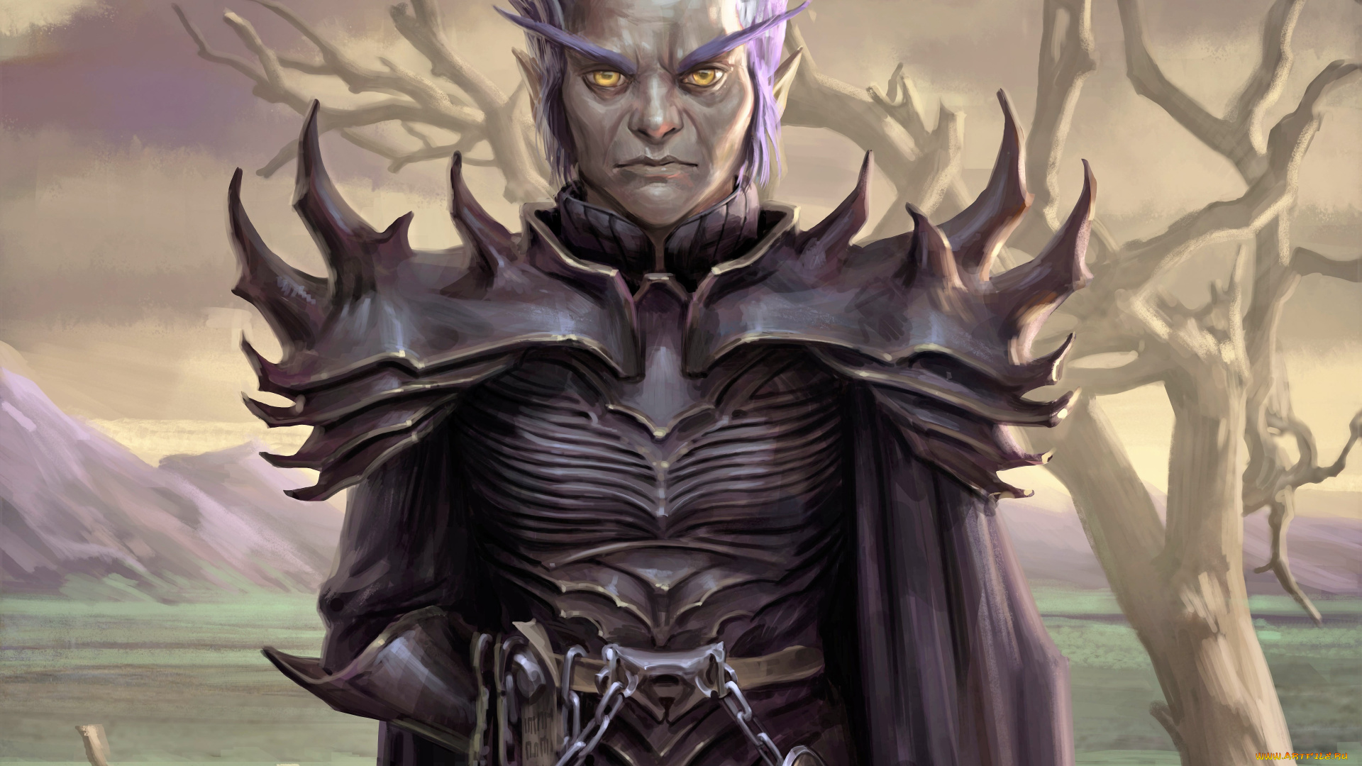 видео, игры, pathfinder, , wrath, of, the, righteous, рыцарь, дерево, кости