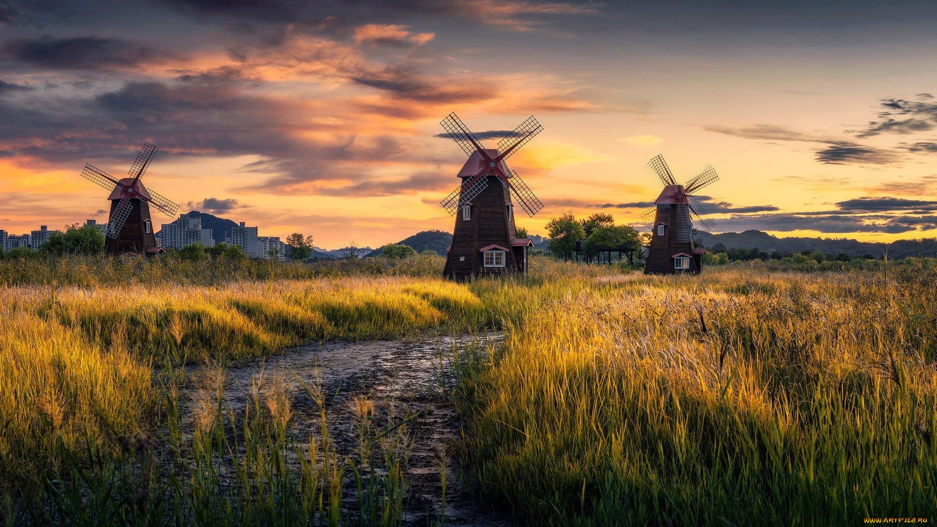 разное, мельницы, трава, закат