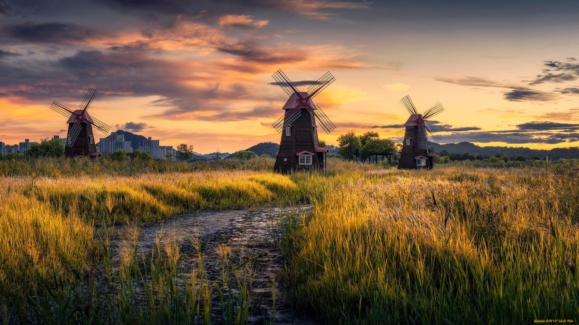 разное, мельницы, трава, закат