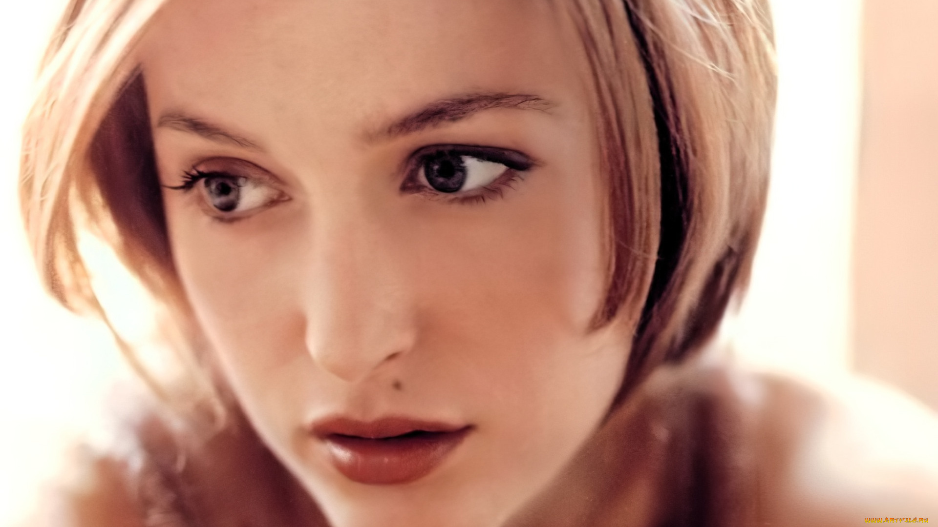 девушки, gilian, anderson, актриса, лицо, блондинка