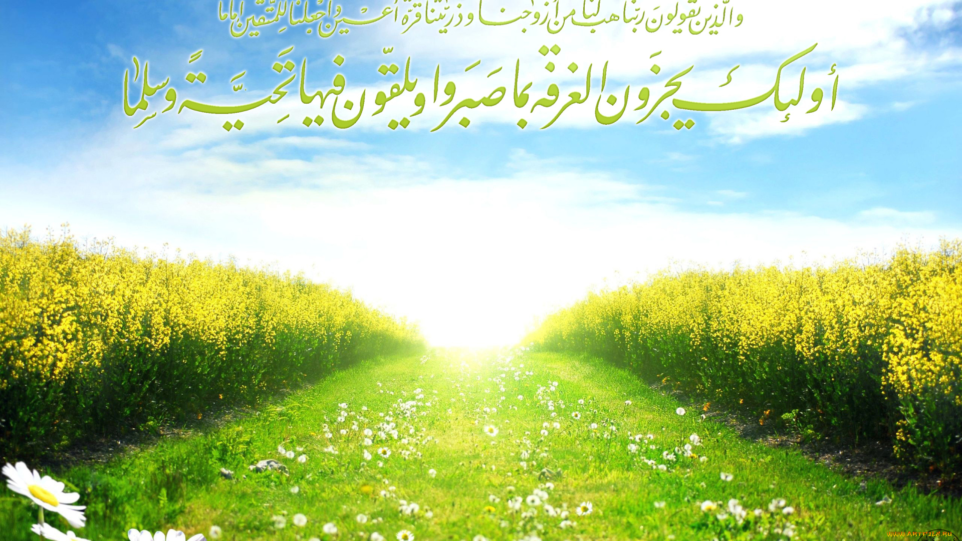 разное, надписи, , логотипы, , знаки, ромашки, дорога, поле, небо, надпись