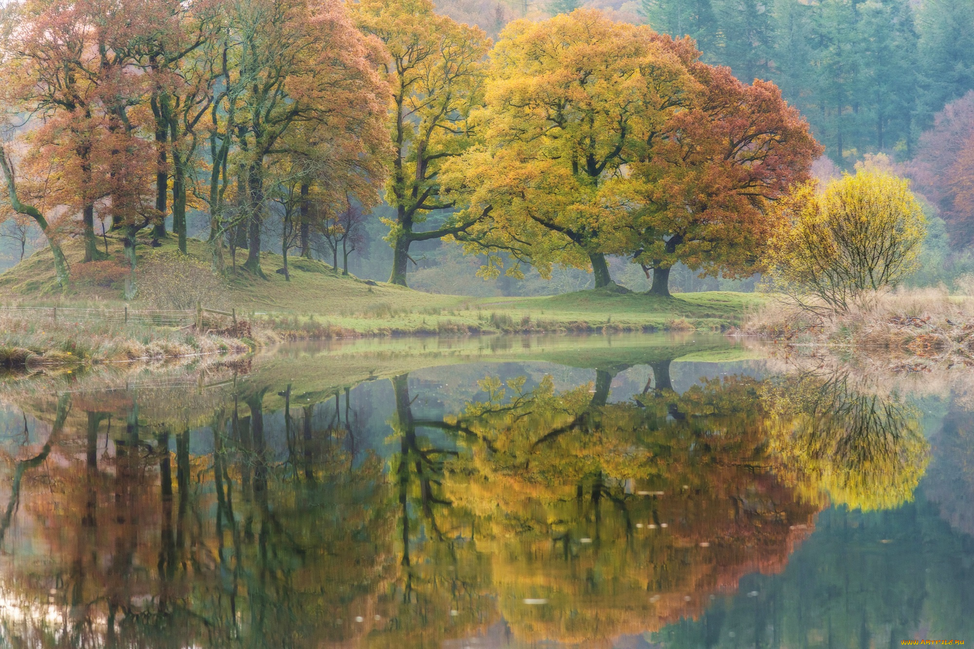 природа, реки, озера, осень