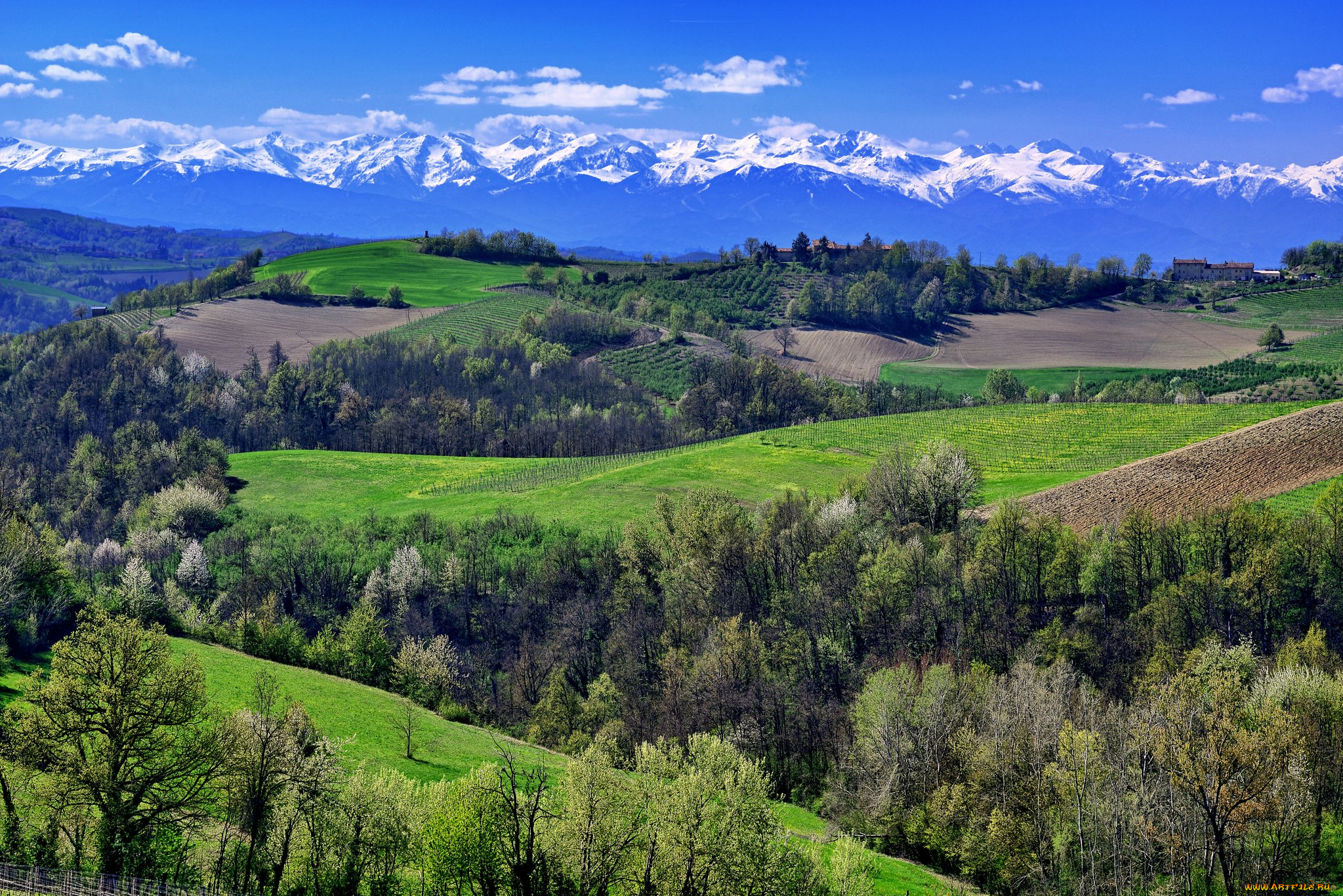 природа, горы, поля