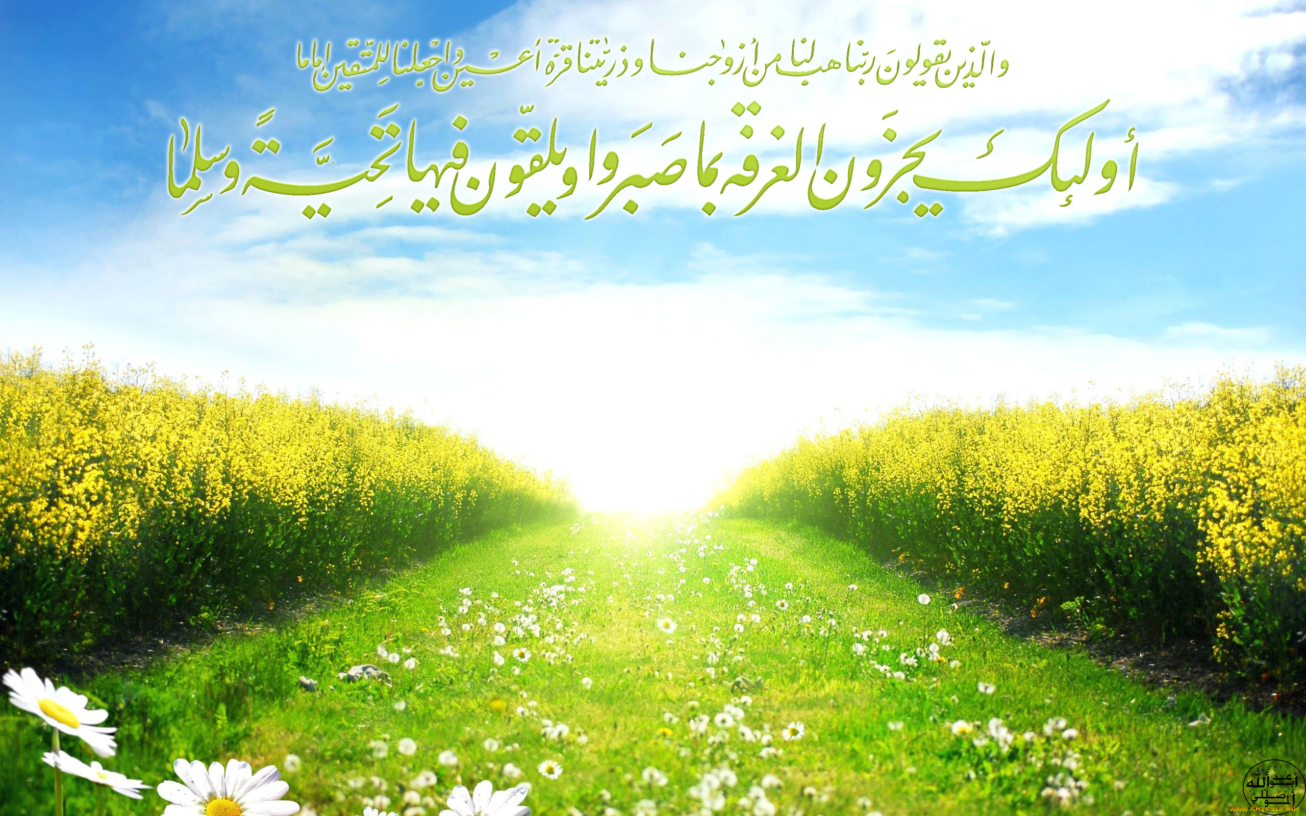 разное, надписи, , логотипы, , знаки, ромашки, дорога, поле, небо, надпись