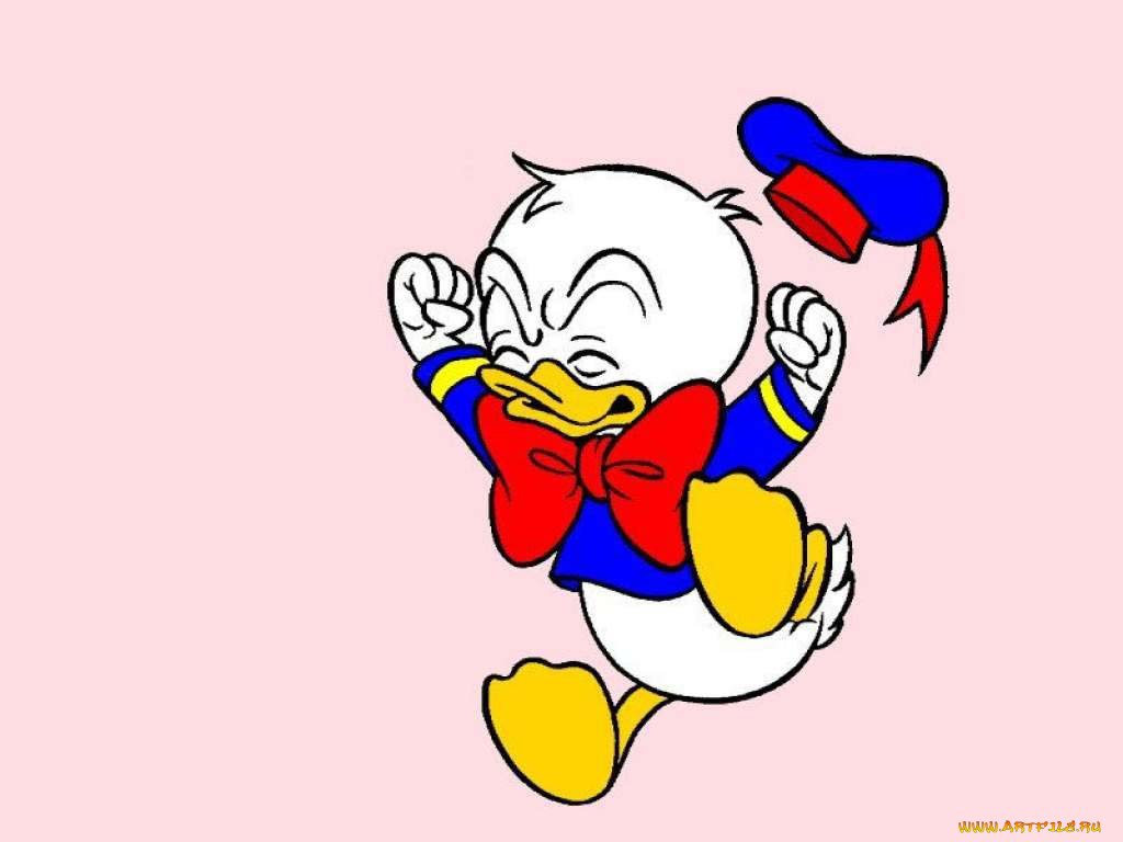 мультфильмы, ducktales