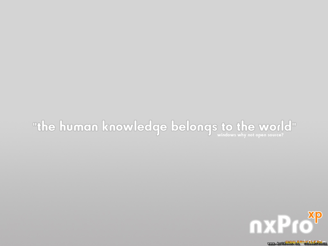 компьютеры, windows, xp