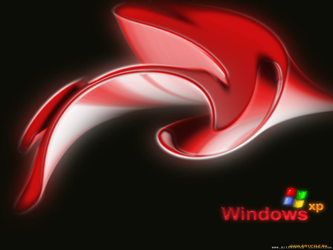 компьютеры, windows, xp