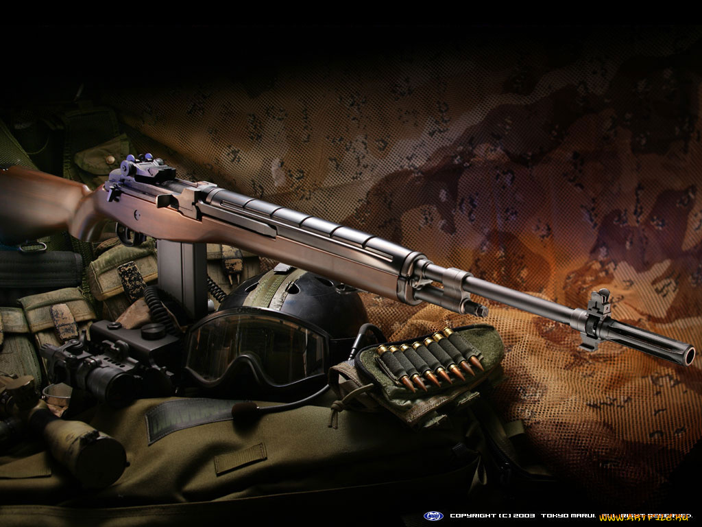 оружие, винтовкиружьямушкетывинчестеры