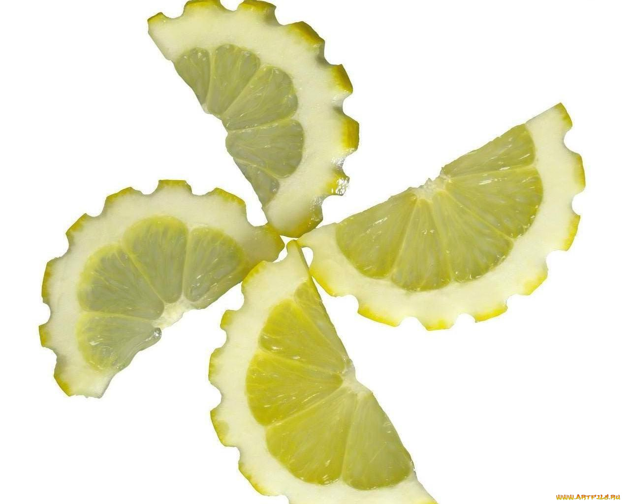 еда, цитрусы