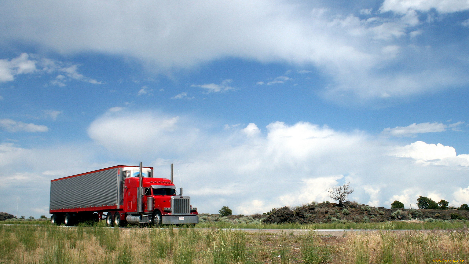 автомобили, peterbilt