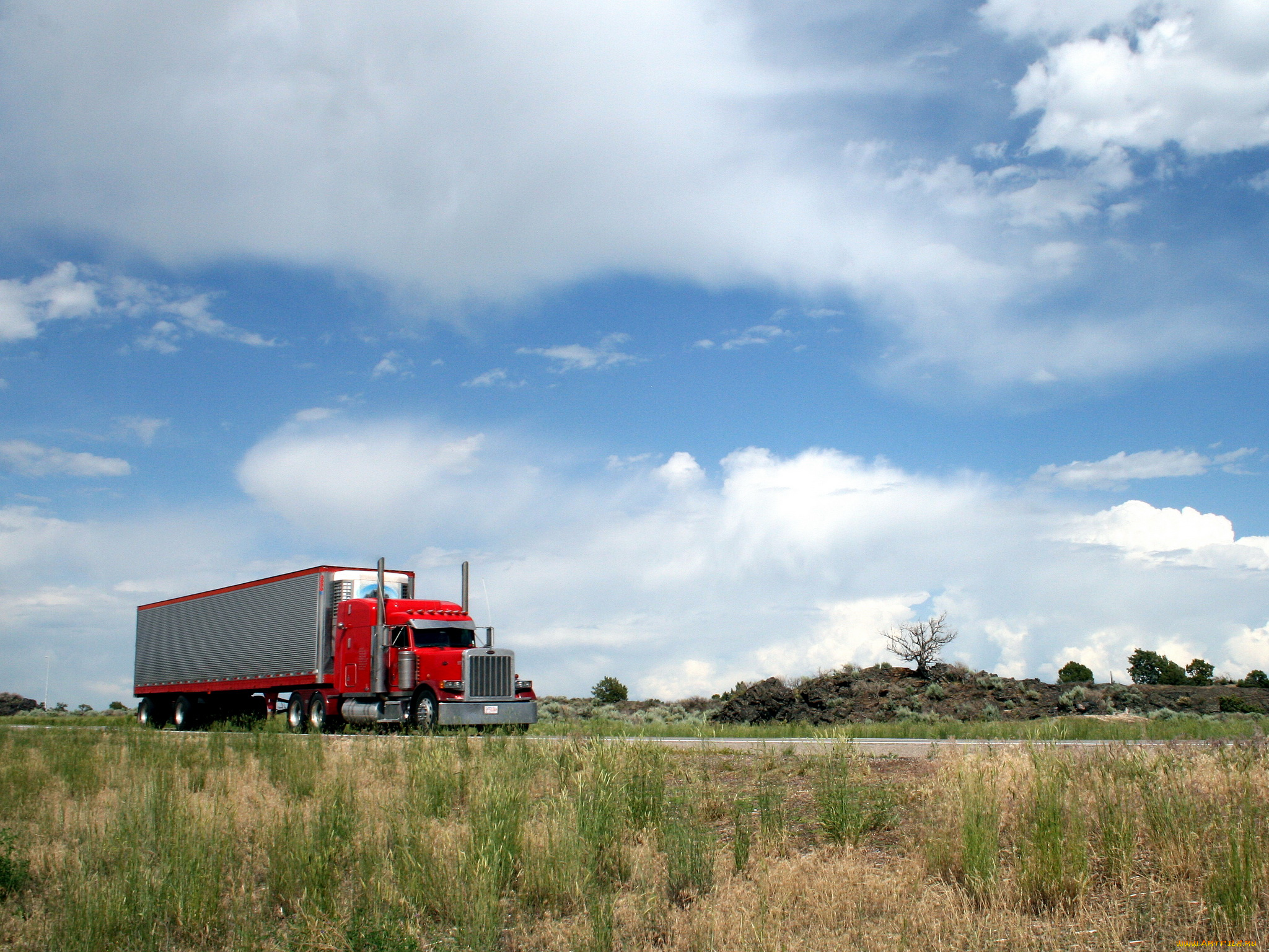автомобили, peterbilt