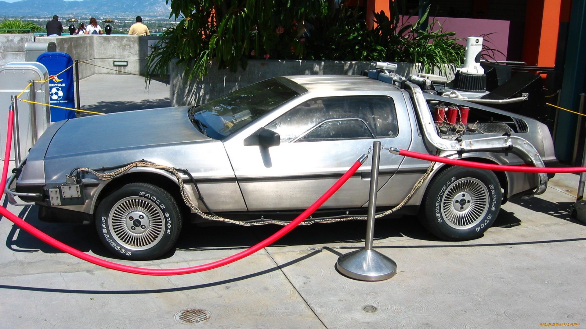 автомобили, выставки, уличные, фото, delorean