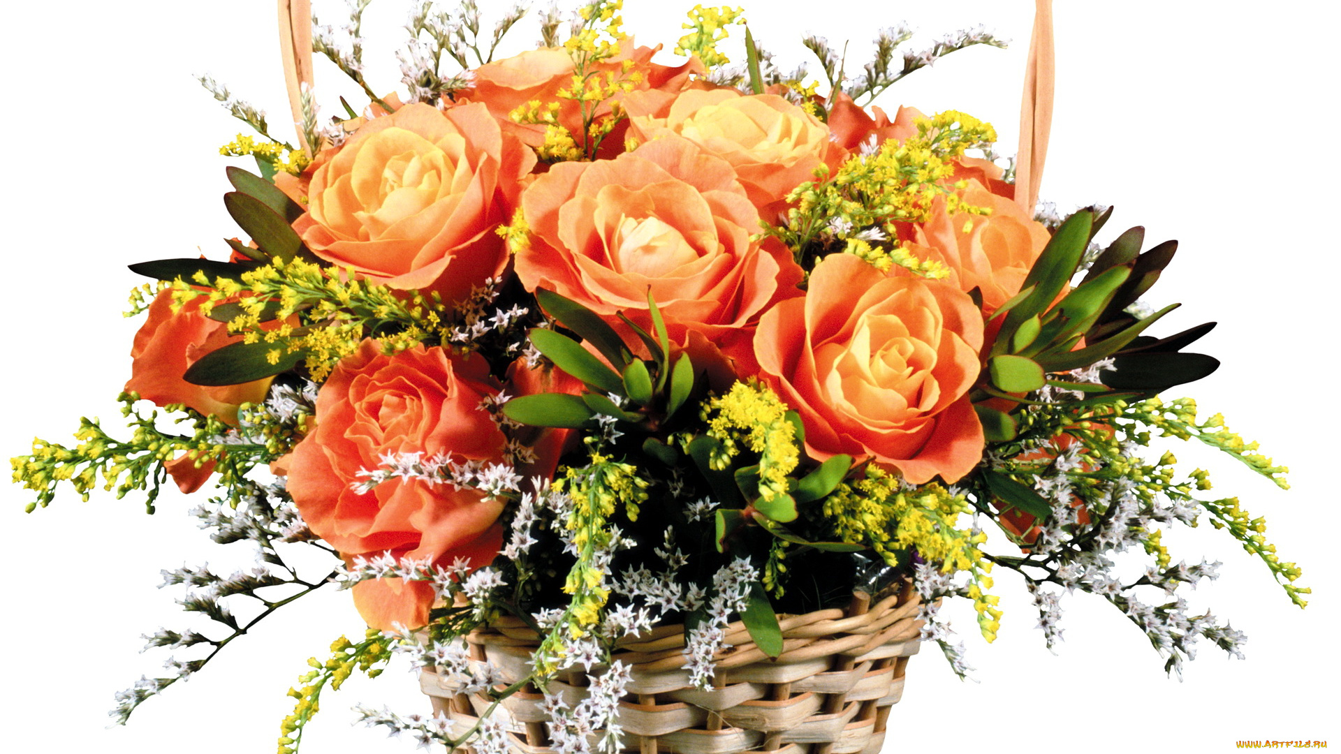 цветы, букеты, композиции, корзина