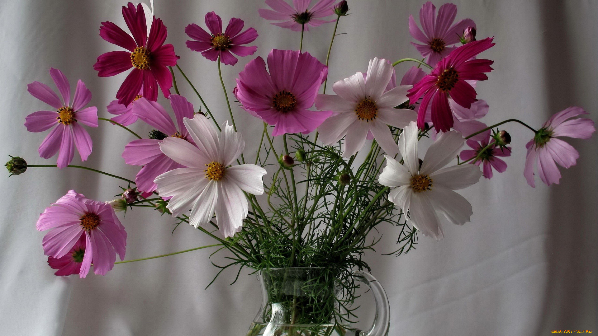 цветы, космея, букет, кувшин