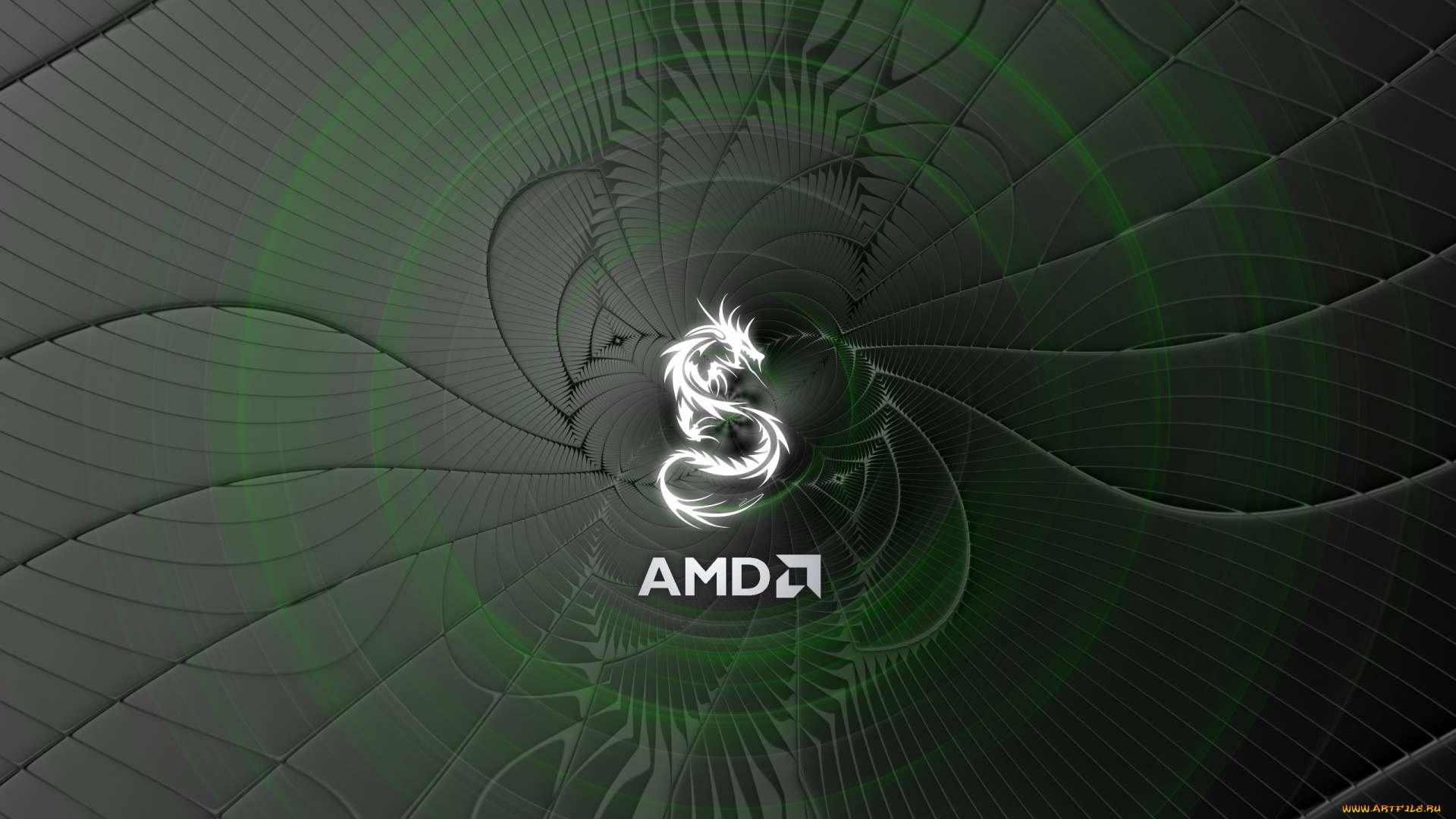 компьютеры, amd