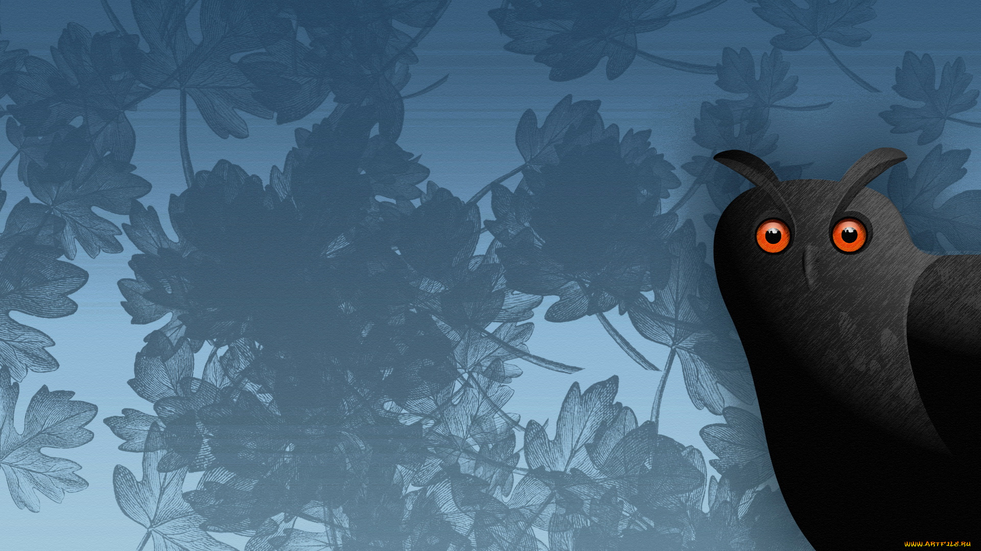 рисованные, животные, птицы, совы, филины, сова, листья