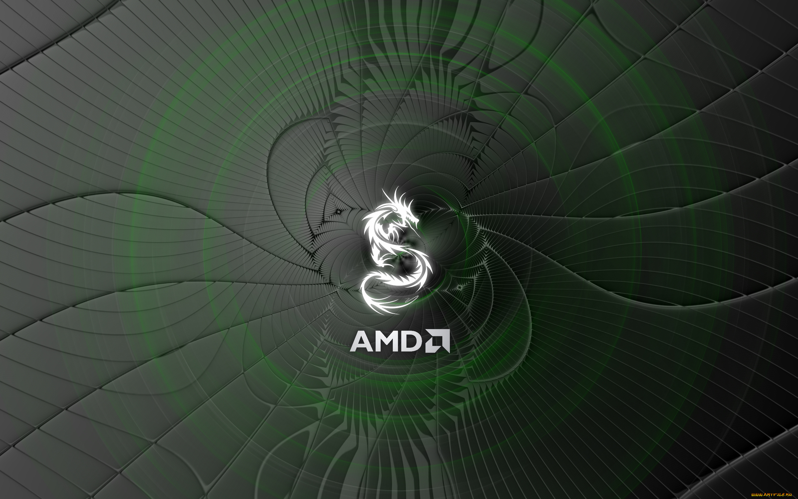компьютеры, amd