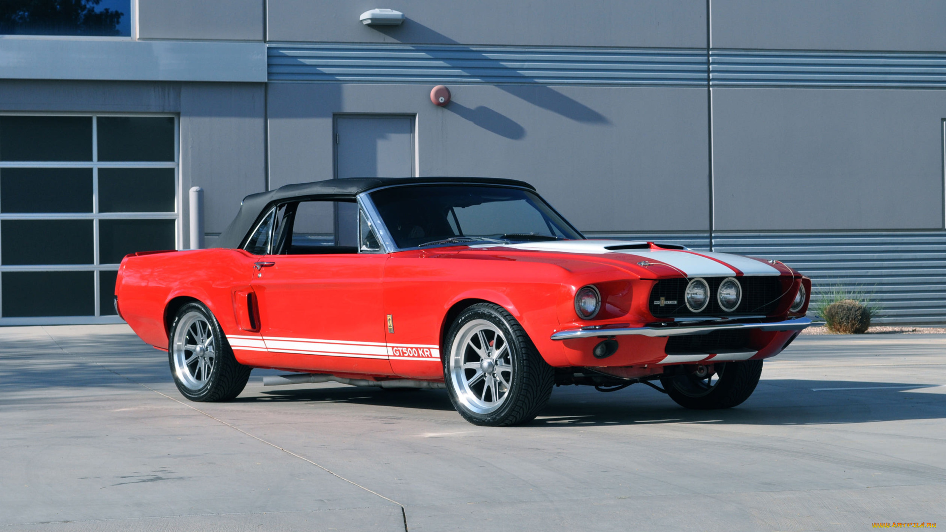 автомобили, mustang