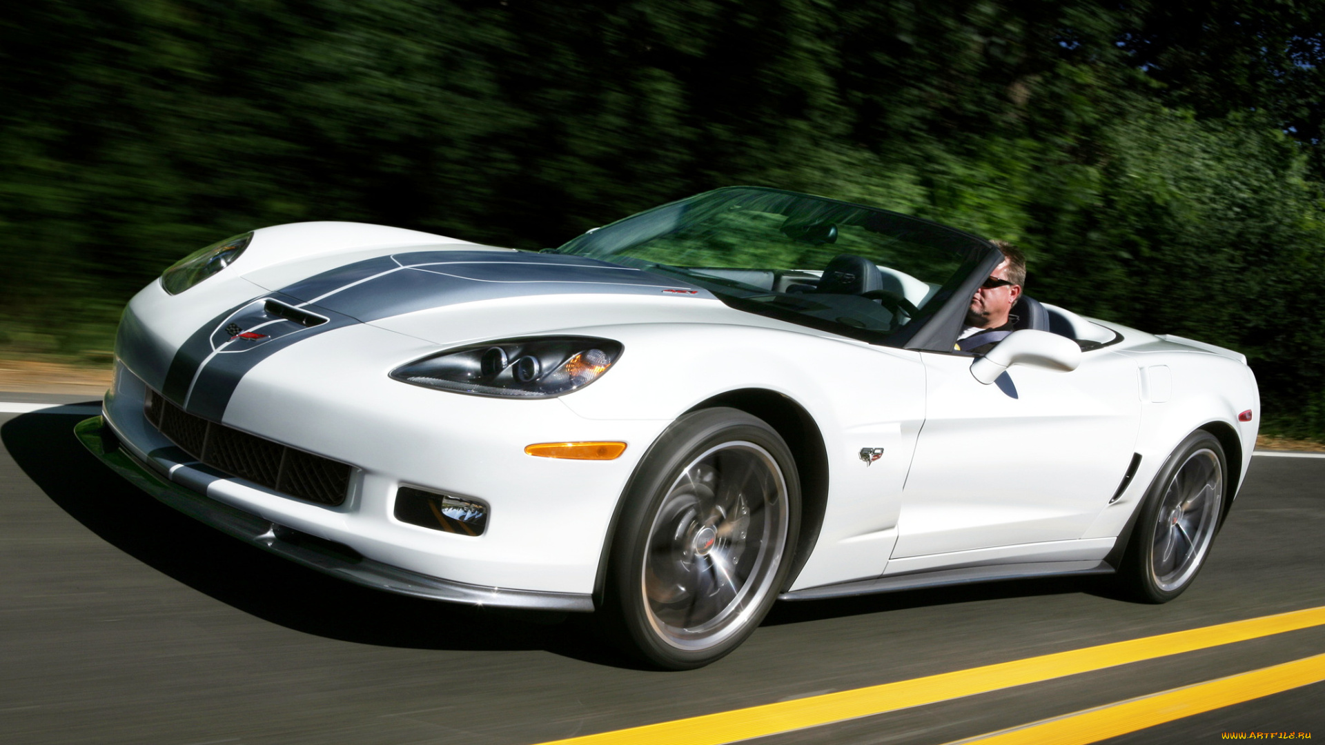 corvette, автомобили, сша, gm, chevrolet, division